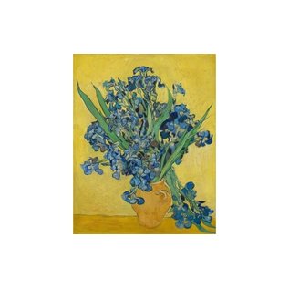 Van Gogh Museum Ecoline Brush Pen set 5 stuks