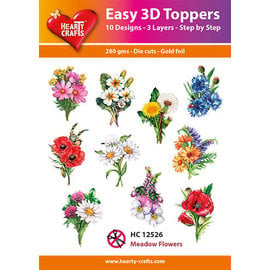 Easy 3D Designs pakket Meadow Flowers