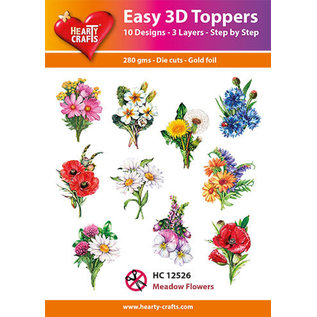 Easy 3D Designs pakket Meadow Flowers