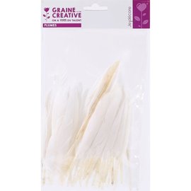 ZAK 10G WIT INDISCHE VEREN 150mm