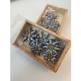 Edelweiss D: 2,5cm