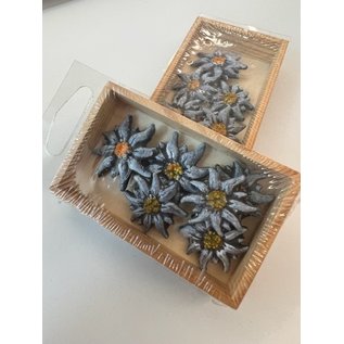 Edelweiss D: 2,5cm 6st.