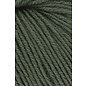 Lang Yarns ATLANTIS 72.0098 groen 50g. bad 17