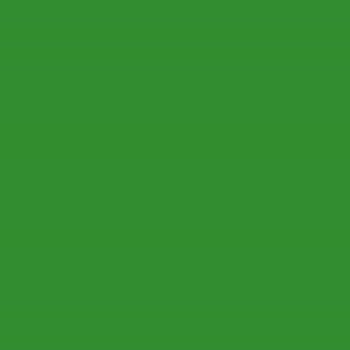 Talens Glass & Porcelain Transparant Fles 30 ml Bladgroen 6032