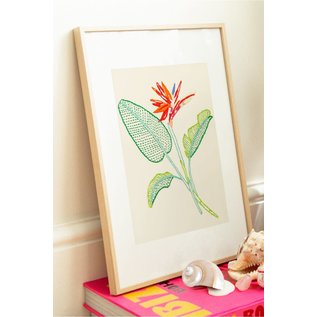 Boek DMC Broderie