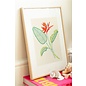 Boek DMC Broderie