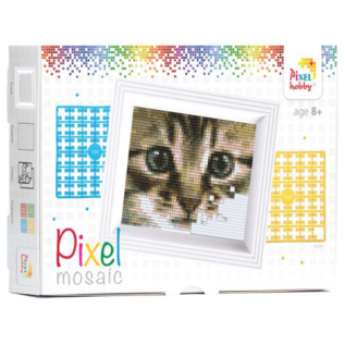 Pixelpakket poezenblik