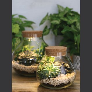 TERRARIUM + LUIK CAP MET LED Ø15 cm x 14 cm