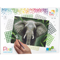 Pixel kit Olifant | 4 basisplaten