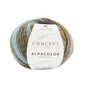 ALPACOLOR 100 Turquoise-Oker-Roest bruin-Groen bad 54244