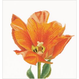 Borduurpakket met telpatroon - Voorgesorteerde DMC Garens - Oranje Triumph Tulp - Linnen - 34 cm x 36 cm - DIY Kit