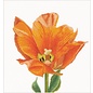 Borduurpakket met telpatroon - Voorgesorteerde DMC Garens - Oranje Triumph Tulp - Linnen - 34 cm x 36 cm - DIY Kit