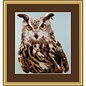 Kruissteekpakket Bright Eyes 23x27cm