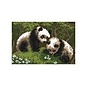 Bedrukt stramien Panda