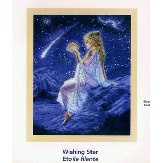 Kruissteekpatroon " Wishing Star " 20x25cm