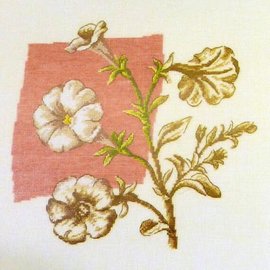 Telpakket - Petunia - 25x25cm