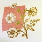 Telpakket - Petunia - 25x25cm