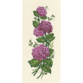 Telpakket - Hortensia - 11,5x30,5cm