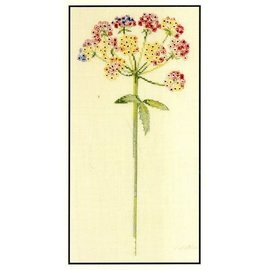 Kruissteekpakket - Umbellifererous - 30x15cm