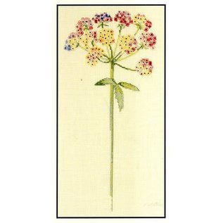 Kruissteekpakket - Umbellifererous - 30x15cm