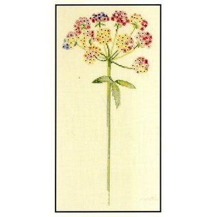 Kruissteekpakket - Umbellifererous - 30x15cm