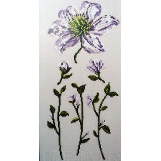 Telpakket - Clematis - 20x40cm