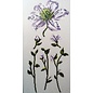 Telpakket - Clematis - 20x40cm