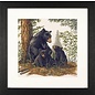 borduurpakket zwarte beer met jongen