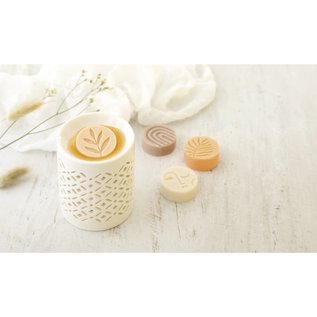 Scented Wax melts - FONDANTS DIY SET