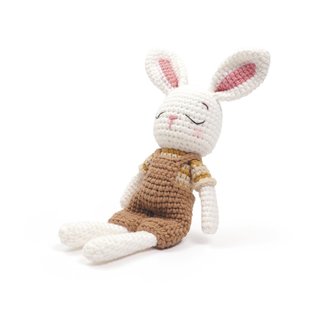 MIJN KONIJN AMIGURUMI POP DIY KIT - FR/NL/EN