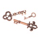 Signed Sealed Remembered Charms Keys assorti Ant. Copper 3pcs