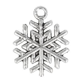 Bedeltje sneeuwvlokje