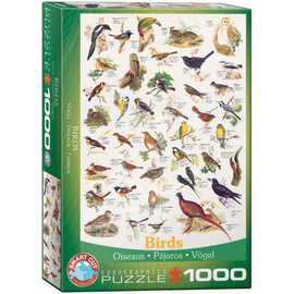 Puzzel Birds (1000) 68 cm x 48 cm