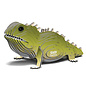 EUGY 3D - Tuatara