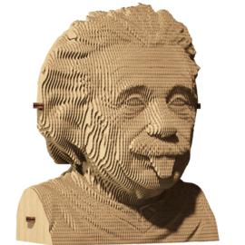 Kartonnen sculptuurpuzzel 3D " Einstein "