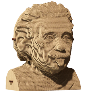 Kartonnen sculptuurpuzzel 3D " Einstein "