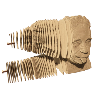 Kartonnen sculptuurpuzzel 3D " Einstein "