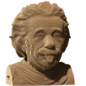 Kartonnen sculptuurpuzzel 3D " Einstein "