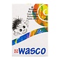 Wasco waskrijt set | 6 kleuren