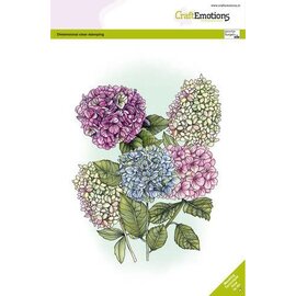 Clearstamps A5 - Hortensia GB Dimensional stamp