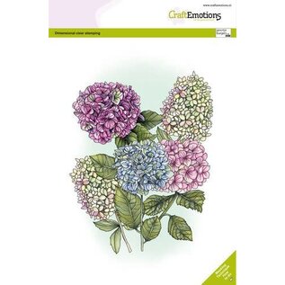 clearstamps A5 - Hortensia GB Dimensional stamp