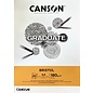 Blok 20 vellen Canson® Graduate Bristol A4 180g/m², wit