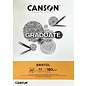 Canson® Graduate Bristol A4 180g/m² 2 vellen wit