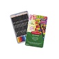 Kleurpotloden Derwent Academy blik 12 stuks assortiment