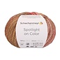 Schachenmayr Spotlight on Color Brei- en Haakgaren 100 gram - 270 meter - Kleur 81