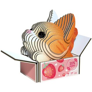 EUGY 3D - KATTEN - PUMPKIN