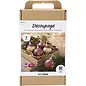 Hobbyset Decoupage - Gedroogde Bloemen, Kerstrood