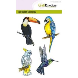 Clearstamps A6 - Tropische vogels