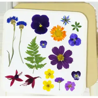Microfleur -  Flower Press - Gedroogde bloemen in minuten