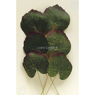 LeCreaDesign® Leaves set "begonia"